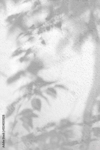 Obraz trees branch and leaf with shadow on a white concrete wall. Leaf pattern. Blurred background.