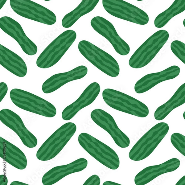Obraz vector cucumber seamless pattern background design