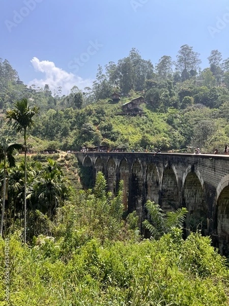 Fototapeta most Nine Arch Bridge Sri Lanka