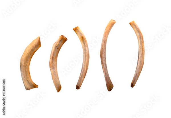 Obraz Row of thin clean fried pork ribs as leftover isolated on white, PNG