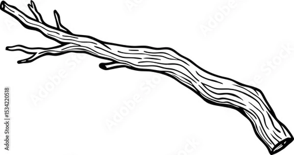 Obraz Realistic Driftwood Branch Vector Illustration for Nature Designs