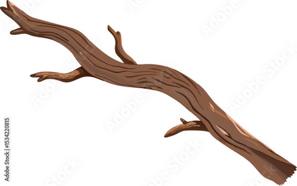Obraz Realistic Driftwood Branch Vector Illustration for Nature Designs