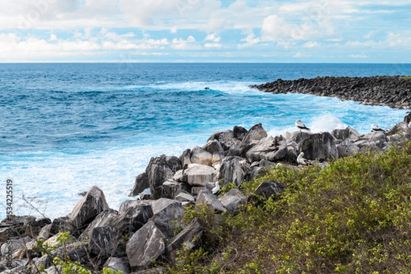 Fototapeta Rocky Coastline at Suarez Point, Galapagos, Ecuador