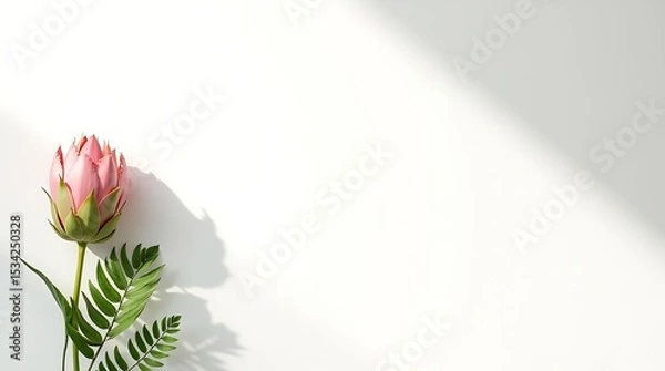 Obraz Graceful Protea on White