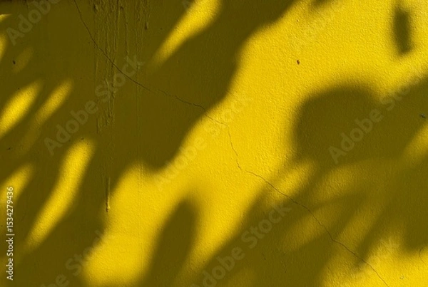 Fototapeta A yellow wall with the tree shadows.