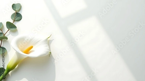 Obraz Minimal ivory canvas background with floral accents on the left, soft shadows, and a clean center for text or branding.