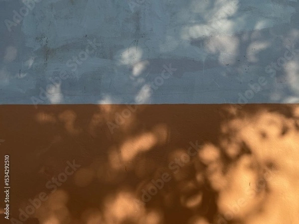 Fototapeta Tree shadow falls on the two tone wall background, brown and gray wall background.