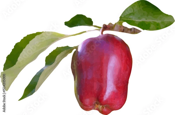 Obraz sweet and sour red fruit7