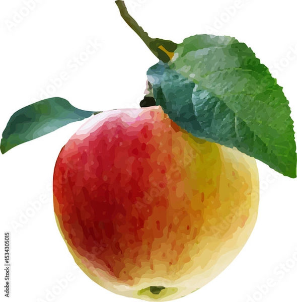 Obraz sweet and sour red fruit12