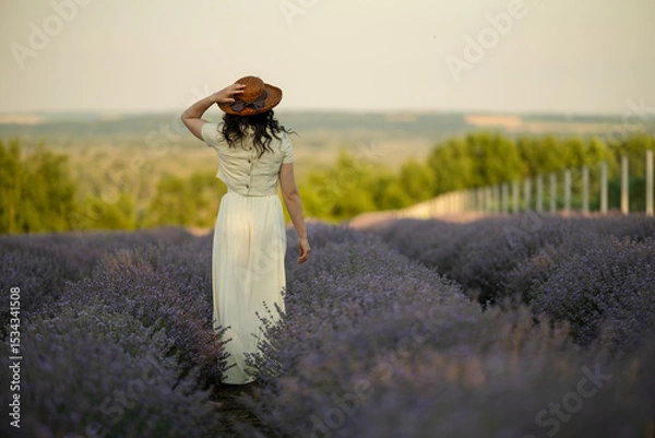 Fototapeta A young brunette walks in wheat fields at sunset in summer. Growing organic wheat and barley.
