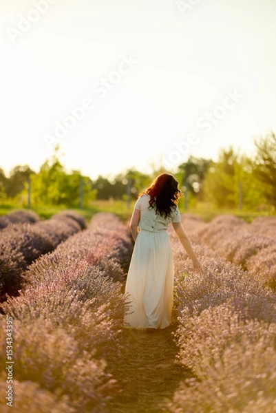 Fototapeta A young brunette walks in wheat fields at sunset in summer. Growing organic wheat and barley.