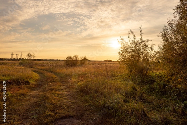 Fototapeta Calm foggy landscape of empty agricultural meadow in countryside in the morning with golden light from rising sun