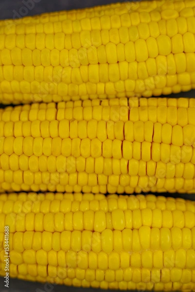 Fototapeta Close-up of yellow peeled ears of corn with large grains lying horizontally on a dark background in the center. The concept of healthy nutrition, natural iron, corn cultivation. High quality photo