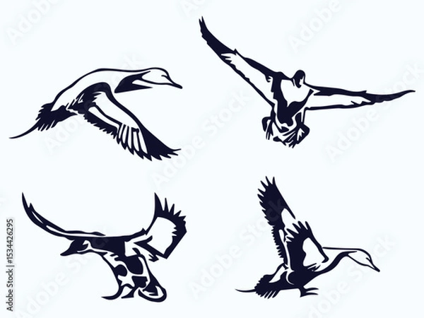 Obraz flying duck vector illustration, collection of flying duck silhouette on white background graphic art
