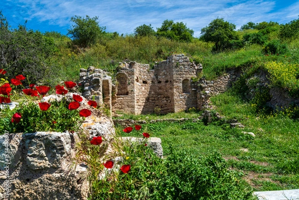 Obraz Ancient ruins and red poppies in Akrokorinthos