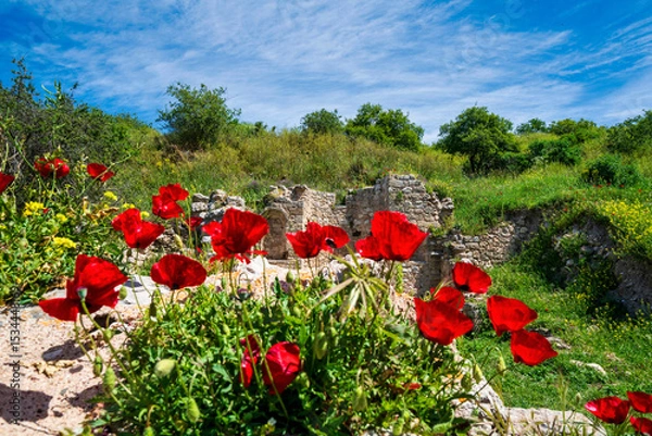 Obraz Ancient ruins and red poppies in Akrokorinthos