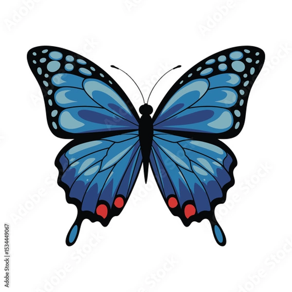 Fototapeta A vibrant blue butterfly with intricately designed wings featuring gradient shades of blue and black accents