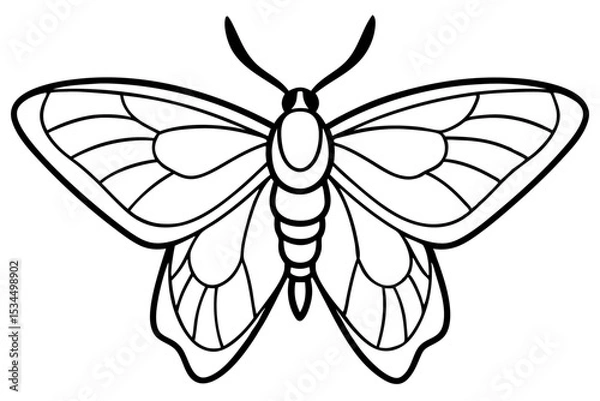 Obraz Sleek Opal Moth Vector Design