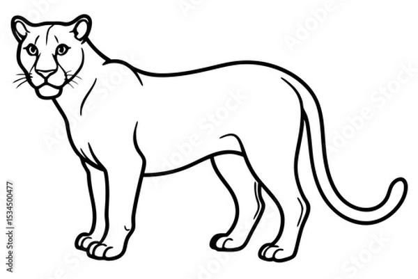 Fototapeta Minimalist Mountain Lion Vector