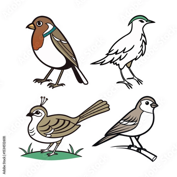 Fototapeta Charming Bird Illustrations Four Feathered Friends in Simple Line Art Style