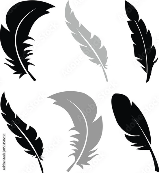 Fototapeta Collection of Elegant Feather Silhouettes Black and Gray Vector Illustrations