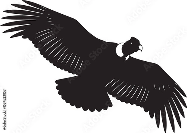 Obraz Andean Condor Vector Silhouette