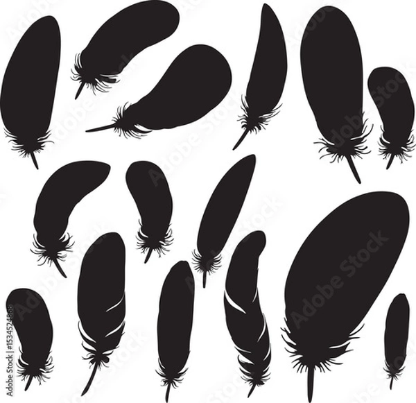 Fototapeta Feathers Vector Silhouette