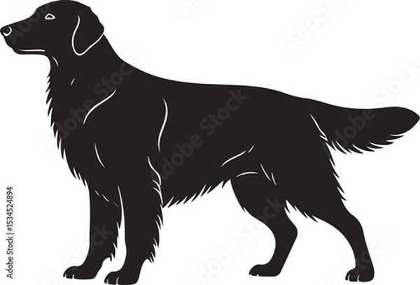 Fototapeta Flat-Coated Retriever Vector Silhouette