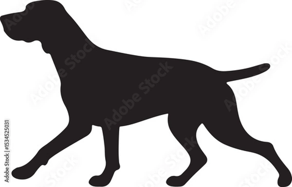 Fototapeta German Shorthaired Pointer Vector Silhouette