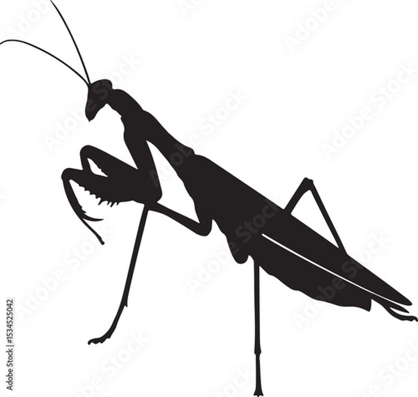 Fototapeta Ghost Mantis Vector Silhouette