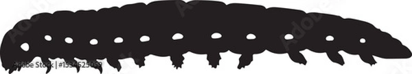 Fototapeta Glow-worm Vector Silhouette