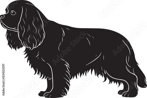 Obraz Cavalier King Charles Spaniel – Solid Black Silhouette and Outline Vector Set