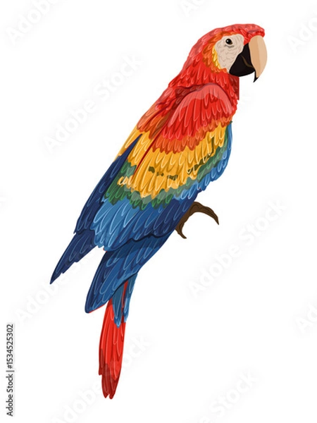 Obraz Scarlet macaw parrot. Realistic Vector South American and Caribbean Jungle Bird