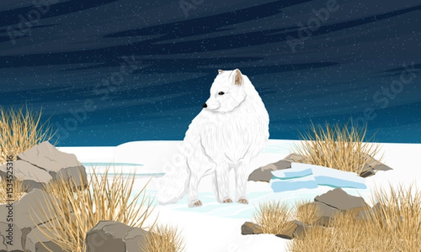 Obraz Arctic fox standing on a snowy northern plain on a winter night. Realistic vector landscape