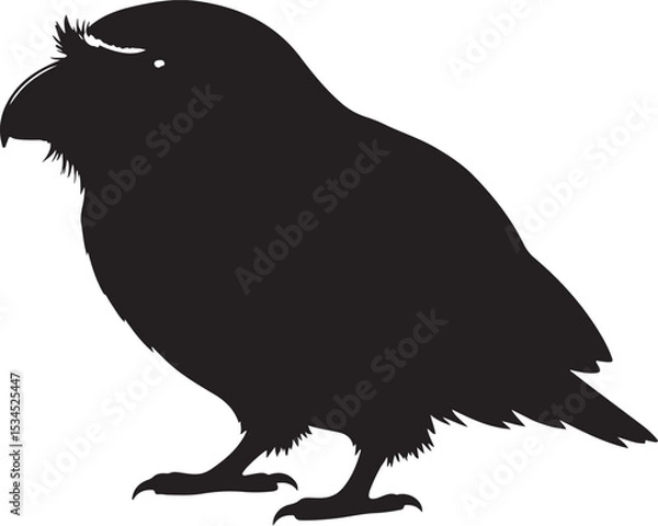 Fototapeta Javan Frogmouth Vector Silhouette