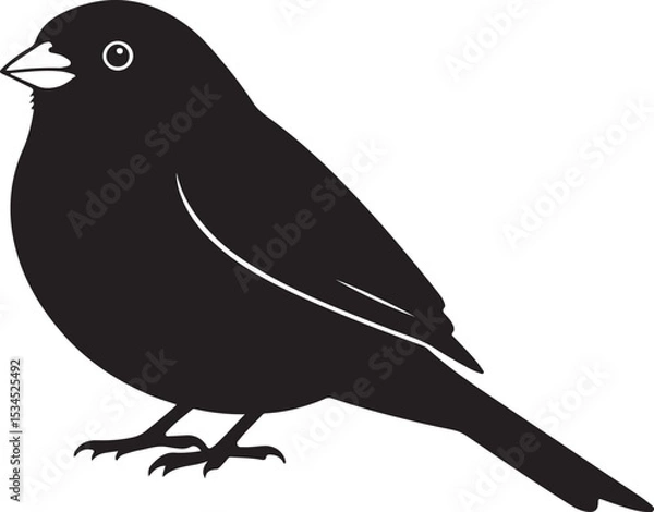 Fototapeta Junco Vector Silhouette