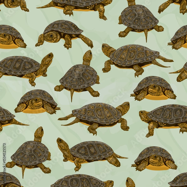 Obraz Seamless pattern with European pond turtle Emys orbicularis. European pond terrapin or European pond tortoise. Realistic vector reptile