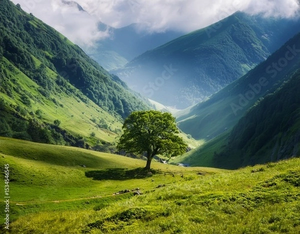 Fototapeta majestic lone tree in a valley surrounded by lush greenery and misty mountains