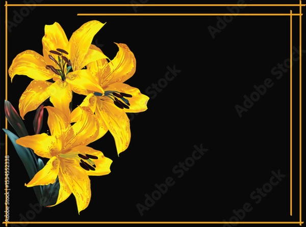 Obraz fine gold lily three blooms flower isolated on black