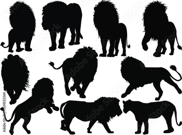 Obraz ten white lions isolated on white background