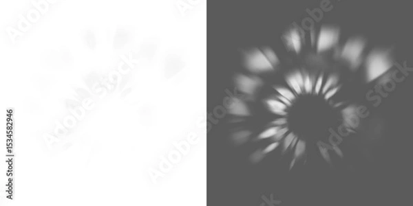 Obraz Abstract shadow png,  bokeh isolated on transparent background,  Seamless abstract white bokeh line blur background texture overlay. Light silver grey diffuse glowing object