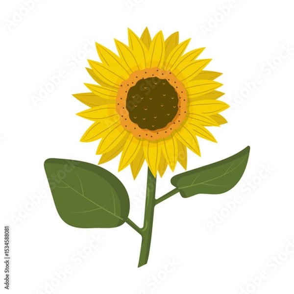 Fototapeta Bright and cheerful illustration of a sunflower with green leaves on a white background. Perfect for summer design, packaging, greeting cards, educational materials, and botanical prints.