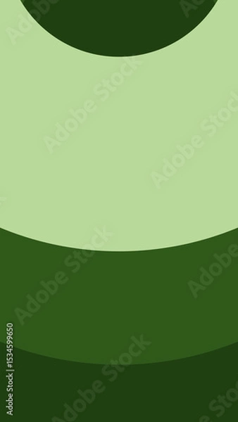 Obraz Circles 5 Styles Flat 3 Colors Vertical Transitions MOGRT 482