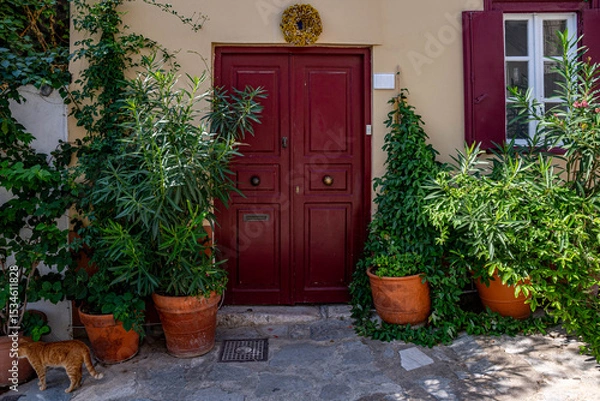 Obraz Charming and cozy entrance of traditional house in Athens Greece featuring a red door framed by lush green plants and terracotta pots, and street cat