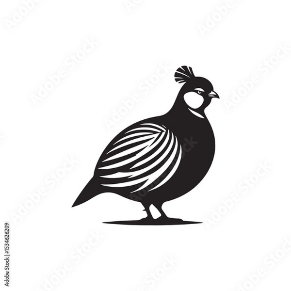 Fototapeta Chukar Partridge Silhouette Vector Design – Elegant Game Bird Artwork Featuring Distinctive Stripes, Bold Stance, Minimal Black Outline Style Perfect for Nature Prints, Logos, and Decor
