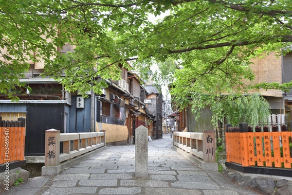 Obraz 白川の巽橋