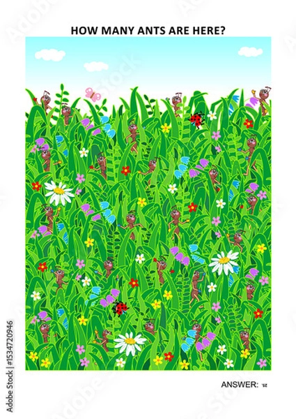 Fototapeta Page sized visual math puzzle to learn counting with fun: How many ants are here? Answer included.
