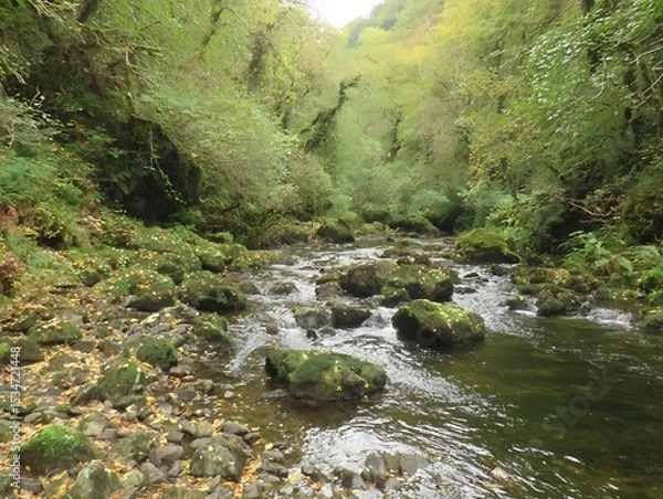 Obraz A tranquil stream winds through a lush forest.