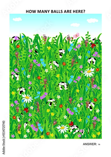 Fototapeta Page sized visual math puzzle to learn or reinforce counting with fun: How many football or soccer balls are here? Answer included.
