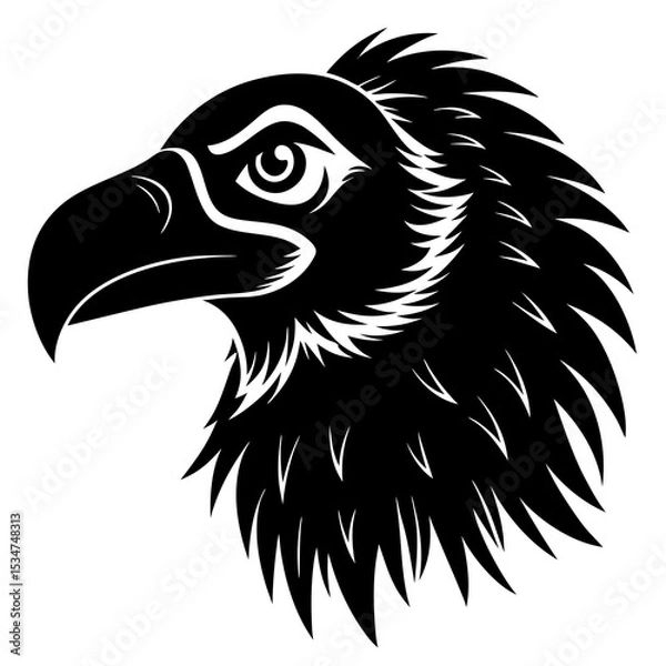 Obraz eagle head vector